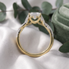 R29946-233-